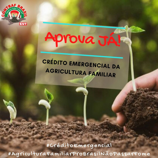 Agricultura Familiar Na Espera Pela Votação Do Pl Do Crédito Emergencial Contraf Brasil 6787