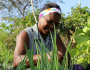 Aumenta a participação de mulheres na agricultura familiar