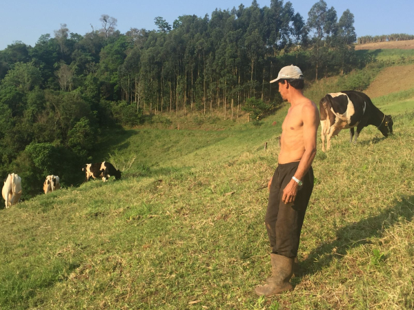 Derci contempla parte de seus hectares