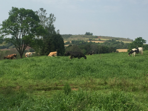 Vista de parte da Propriedade da Família Deohn
