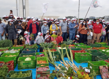 Dia Nacional de Mobilização - Pela Derrubada dos vetos da Lei Assis Carvalho - PL 735