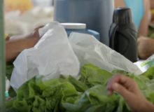 Carta Política e Curta Agroecologia sobre o IV ENA