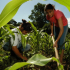 Agricultores familiares pedem mais investimentos para enfrentar custos da produção