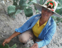 Agricultoras Familiares da Fetraf Bahia alcançam cada vez mais o protagonismo no campo