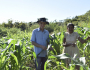 Agricultores do Piauí são os que mais preservam vegetação nativa no Nordeste