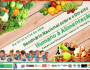 CONTRAF BRASIL participa do Seminário Nacional Sobre o Direito Humano à Alimentação