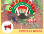 CONTRAF BRASIL luta contra estragos provocados pelo Governo Federal na Agricultura Familiar
