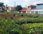 Congresso aprova política nacional de agricultura urbana