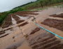 Chuva destrói produção de alimentos que abastecia região no DF