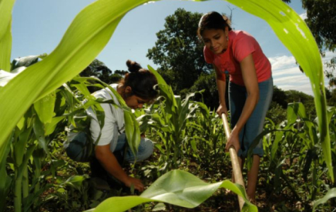 Agricultores familiares pedem mais investimentos para enfrentar custos da produção