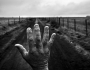 Fotojornalista argentino retrata percurso da morte por agrotóxicos