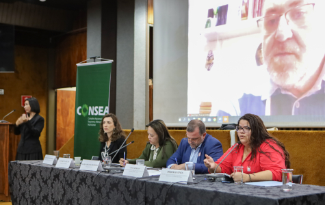 Mesa Redonda sobre Reforma Agrária e Democratização do Acesso à Terra no Brasil