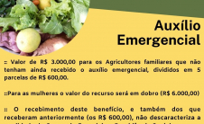 PL 735 Medidas emergenciais para agricultura familiar