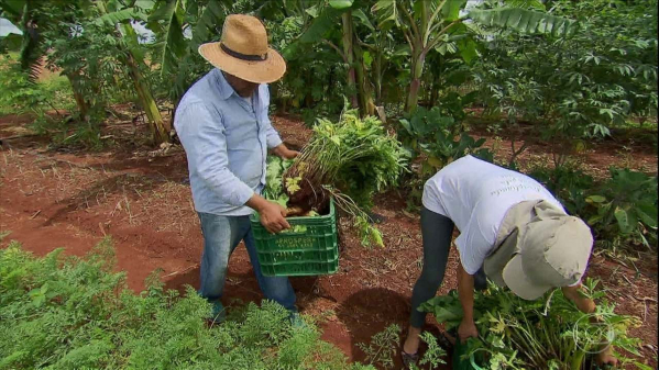 Agricultura Familiar de Base Agroecológica, Gênero e Resistência