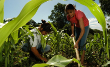 Agricultores familiares pedem mais investimentos para enfrentar custos da produção