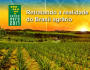 Contraf Brasil: modelo agroquímico é fator decisivo no aumento do uso de agrotóxicos