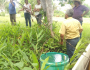 Fetraf Goiás em campo com a agroecologia