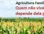 TST reconhece legalidade da Fetraf Sul como única representante da Agricultura Familiar da região Sul