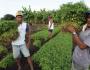 PNCF é um marco do acesso à terra para a Agricultura Familiar