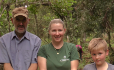 Erva-mate sombreada do Paraná recebe reconhecimento internacional da FAO como Sistema Importante do Patrimônio Agrícola Mundial
