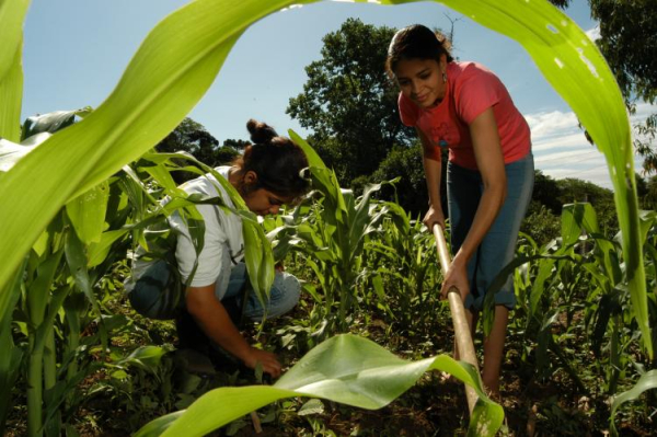 O protagonismo feminino na Agricultura Familiar e Economia do